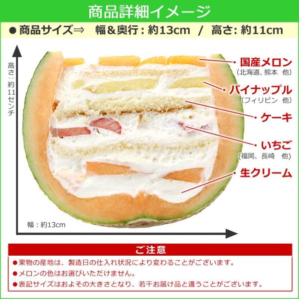 春のお祝い 果物 ギフト サプライズプレゼント まるごとメロンケーキ 冷凍ケーキ 誕生日 プレゼント 断面ケーキ 送料無料 クリスマス Www Mohmmadiyon Com