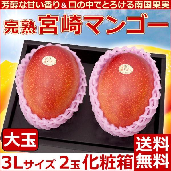 宮崎マンゴー商品一覧