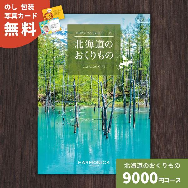 カタログギフト 北海道のおくりもの HDO-P 北海道グルメ お祝い 内祝い 結婚 出産 新築 引出物 香典返し 卒業  プレゼント 人気 上質 グルメ  法人 中元 歳暮
