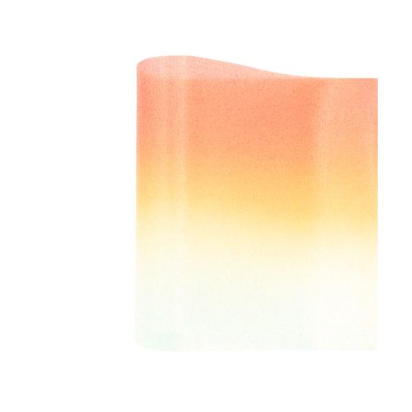 giftribbon_aym00012004l