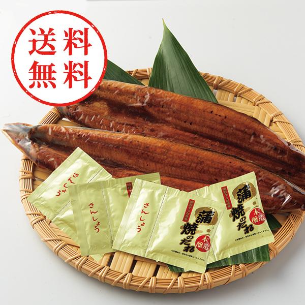【送料無料】 四万十うなぎ蒲焼　特大２尾セット