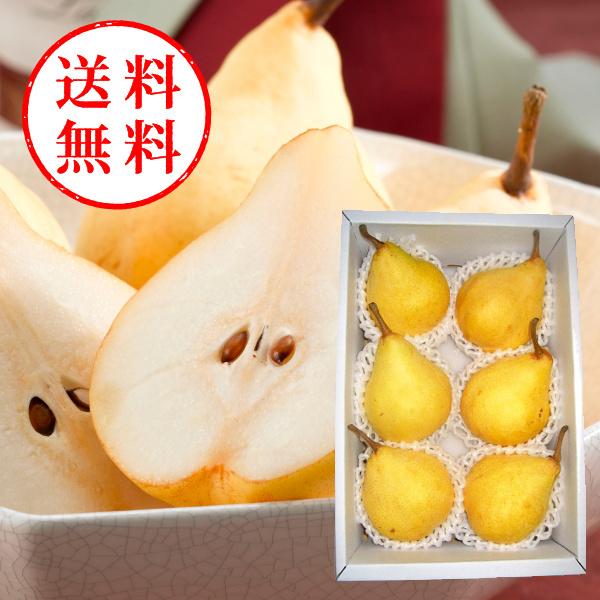 y\Ԃ1211܂ŁzyΕ2025z EN`Fi2kgj EzBws y[J[/z