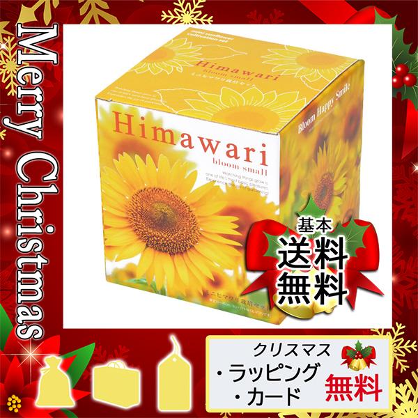 苗 ヒマワリの人気商品 通販 価格比較 価格 Com