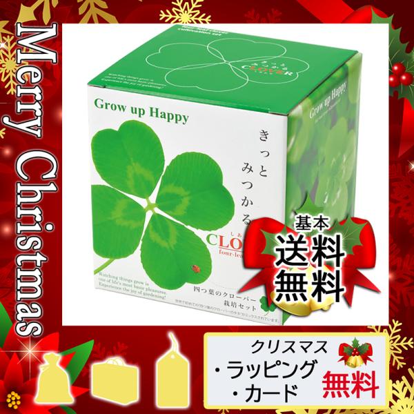 クローバー 栽培セットの人気商品 通販 価格比較 価格 Com