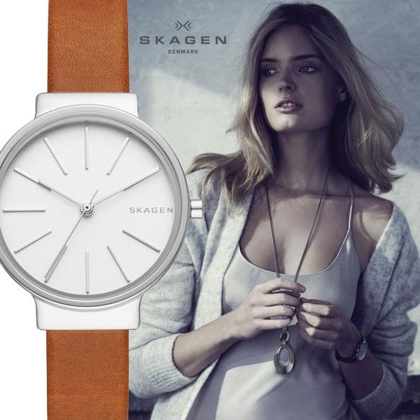 SKAGEN スカーゲン skw2479 Ancher silver brown leather シルバー 