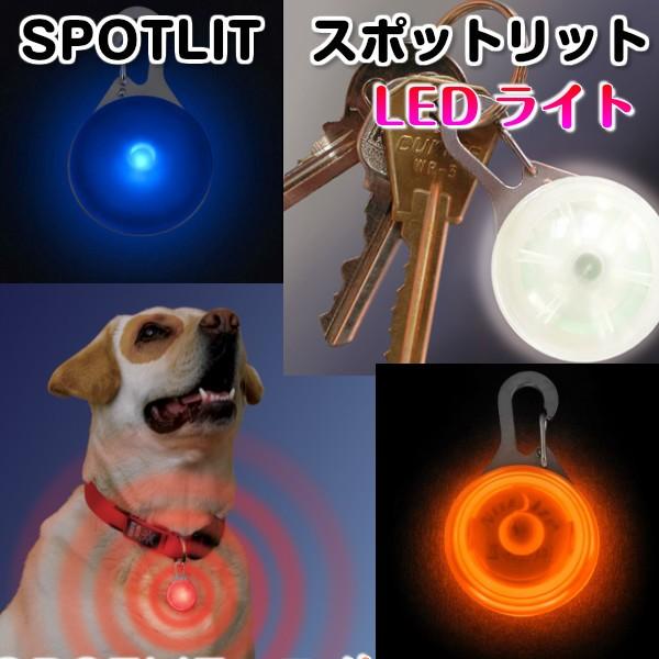 NITE IZE（ナイトアイズ） スポットリット SPOTLIT SLG-06-02 NiteIze