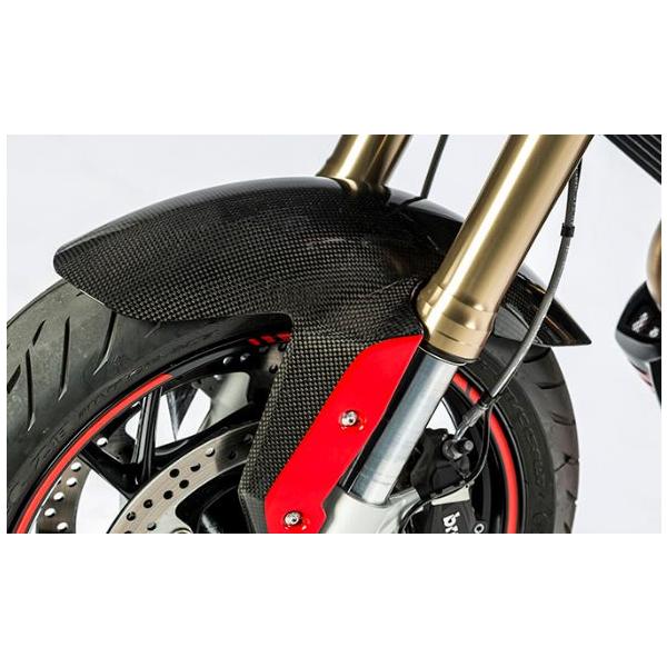 Ilmberger R1200RS 15-16 フロントフェンダー KVO.001.R12RL.K