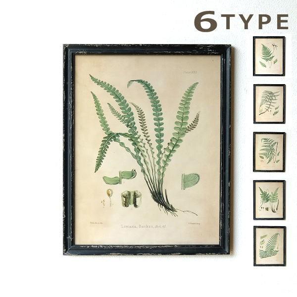 アートパネル 植物 グリーン おしゃれ アートフレーム ウォールアート 壁掛け インテリア レトロ アンティーク ファーンプランツフのレトロフレーム6タイプ Dcr59 ギギリビング 通販 Yahoo ショッピング