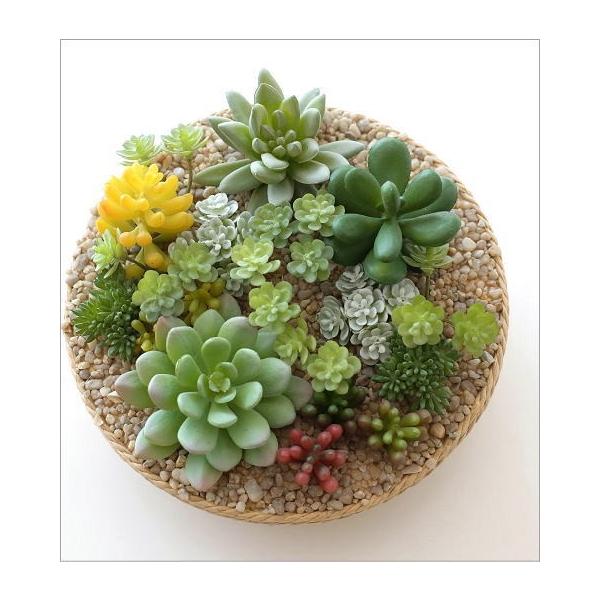 フェイクグリーン Ct触媒 消臭 寄せ植え 観葉植物 サボテン 多肉植物 インテリア 卓上 玄関 キッチン おしゃれ Ct触媒付フェイクカクタスの寄せ植え B Buyee Buyee 提供一站式最全面最專業現地yahoo Japan拍賣代bid代拍代購服務 Bot Online