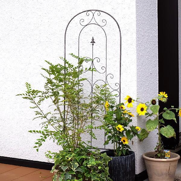 ガーデンフェンス トレリス おしゃれ かわいい 仕切り アイアン