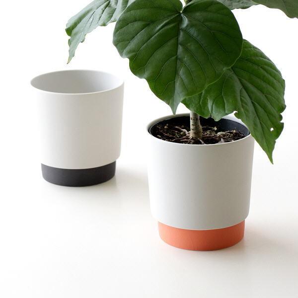 v^[|bg  v^[ 3.5   킢 Aؔ t[|bg A ꌊ K[fjO Obv v^[|bgM 2J[