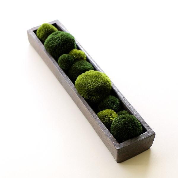 生垣の高さに目線を合わせた時に見えるあの風景を切り取ってきたようなオブジェ横に長いロングな信楽焼のベースに色もサイズも様々な毛糸で出来た”もこもこの苔玉”がずらりと並んでいます指先でちょっと触れたら癒されそうなくらいふわふわで、眺めていると...