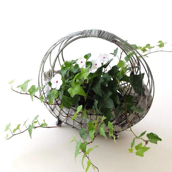 ガーデニング雑貨アンティーク　シャビー　フラワースタンド　アイアンバスケット ガーデンバスケット フラワースタンド おしゃれ アイアン バスケット