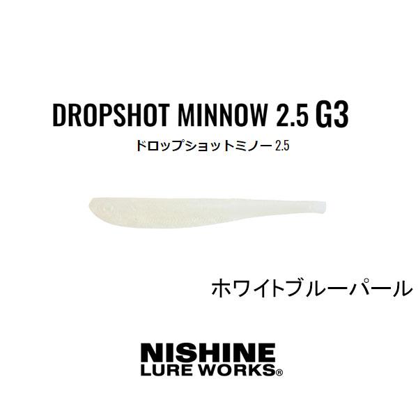 ニシネルアーワークス　ドロップショットミノーG3 2.5インチ　ネコポス対応商品