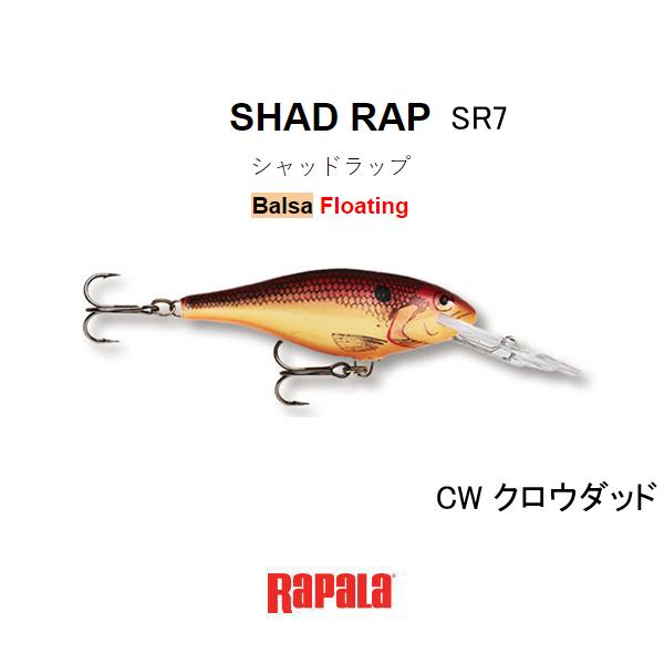 ラパラ　シャッドラップ SR7　ネコポス対応商品