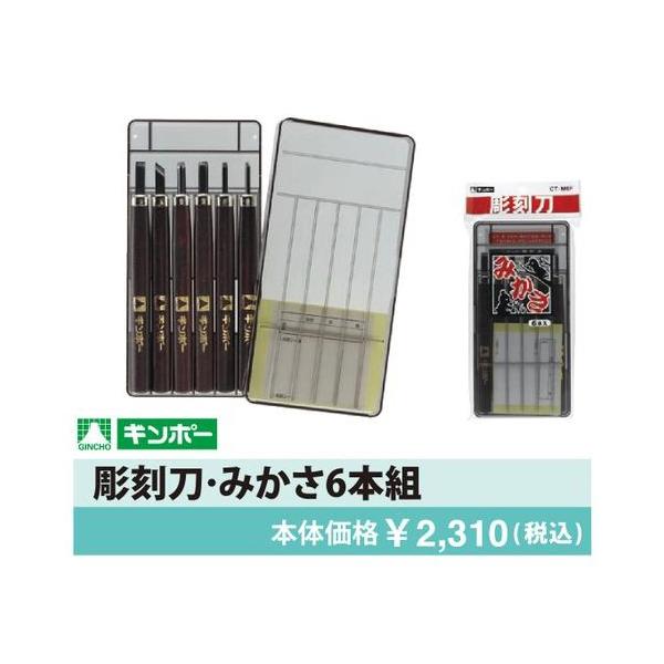 ycXzZbg ݂6{g CT-M6F ⒹY