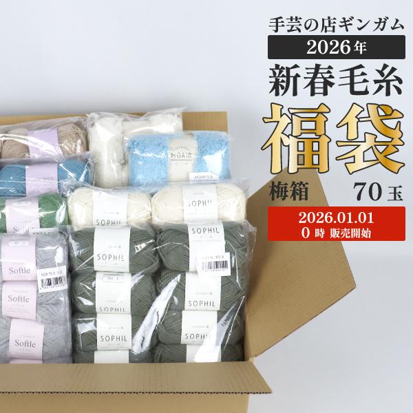 2026年1月1日0時スタート！ 毛糸 福袋 2026 梅セット 今期の毛糸福袋を詰め合わせ70玉入⇒6,050円 新春 初売り 送料無料 まとめ買い 詰合せ セット お買得