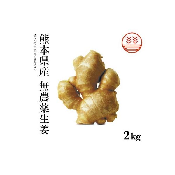 _ I 2kg F{Y Y  I 傤 VEK I ώ   I IĂ g