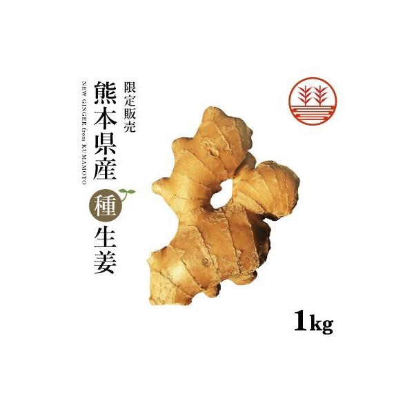 種生姜 熊本県産無農薬生姜1 000g 国産生姜 しょうが ショウガ 生姜栽培 しょうが栽培 家庭菜園 Buyee Buyee Japanese Proxy Service Buy From Japan Bot Online