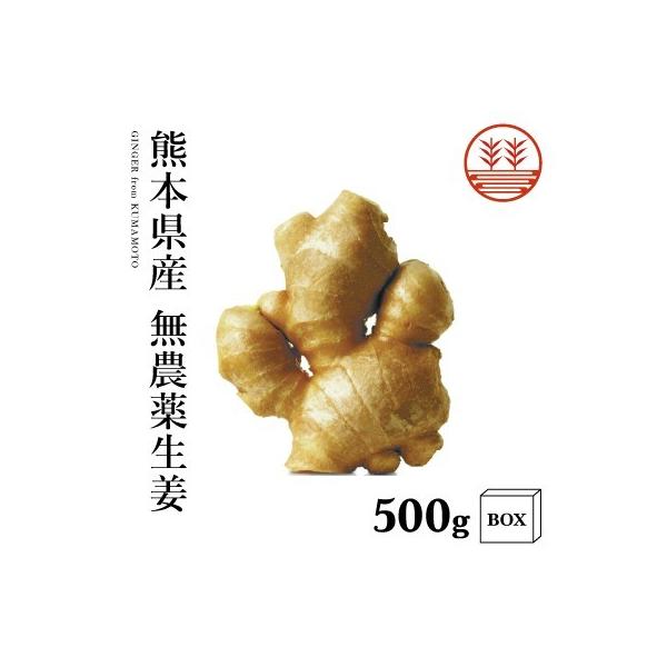 生姜 500g その他の野菜 きのこの人気商品 通販 価格比較 価格 Com
