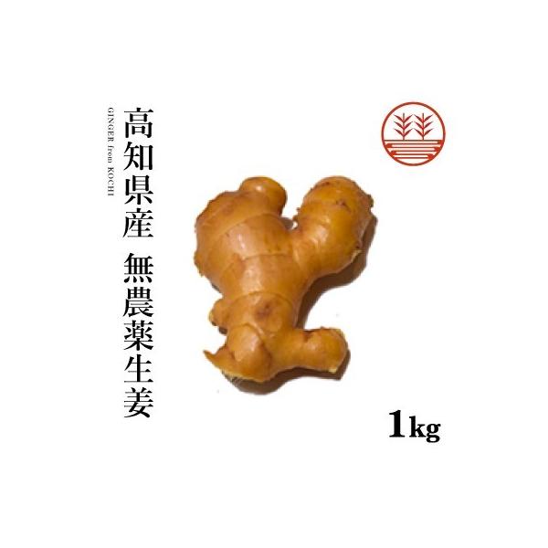 生姜 1kg - その他の野菜・きのこの人気商品・通販・価格比較 - 価格.com 生姜 1kg - その他の野菜・きのこの人気商品・通販・価格比較 - 価格.com