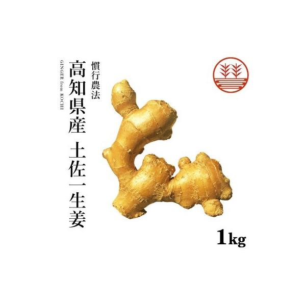 生姜 1kg - その他の野菜・きのこの人気商品・通販・価格比較 - 価格.com 生姜 1kg - その他の野菜・きのこの人気商品・通販・価格比較 - 価格.com