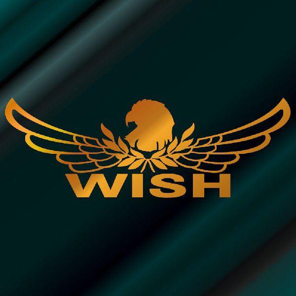 ウイッシュ ステッカー 車 おしゃれ 8cm 22cm 金色 エンブレム リアガラス ステッカー かっこいい C10 05 011 Emb38 08 22 G 銀影工房 通販 Yahoo ショッピング