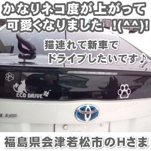 かわいい エコ 猫 ステッカー かわいい サイズ １０ｃｍ ２０ｃｍ 猫 車 ステッカー Eco Drive カッティング ステッカー 猫猫グッズ 猫雑貨 ねこ雑貨 Buyee 日本代购平台 产品购物网站大全 Buyee一站式代购 Bot Online