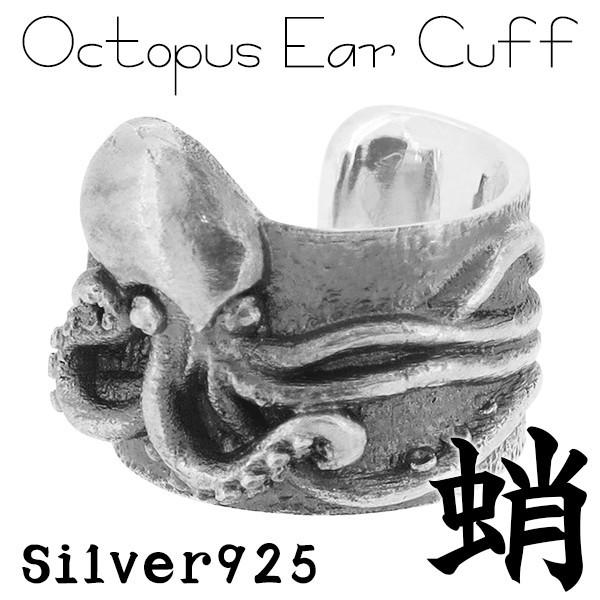 C[Jt Y fB[X ^R a Ԃ Vo[ 1P Ў  mz[sAX C[Nbv JtX