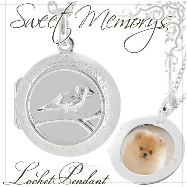 Pbgy_g ʐ^ Vo[ ی^   fB[X  v[g  gbv `F[Ȃ