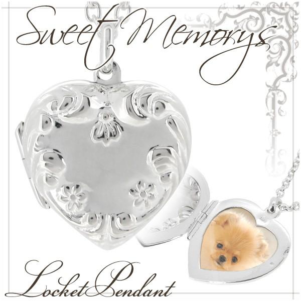 Pbgy_g ʐ^ lbNX Vo[ n[g t@V[t[  fB[X   `F[t v[g