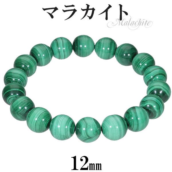 }JCg uXbg 12mm 18.5`19.5cm L`LL TCY VR p[Xg[ uX E Y fB[X  r p[ v[g