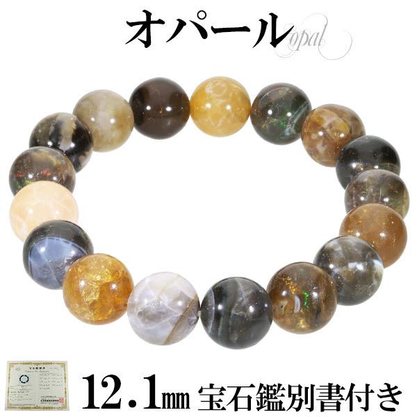 �V�R �I�p�[�� �G�`�I�s�A�Y �u���X���b�g ��Ίӕʏ� �t�� 12.1mm 18.5cm �����YL ���f�B�[�XLL �T�C�Y 10�� �a���� �v���V���X�I�p�[�� �v���[���g