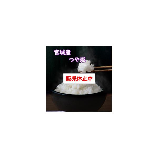 令和5年産 送料無料 無洗米 超特売価格4,630円 お米 米 10kg 宮城産つや姫 精米 乾式無洗米 選べる精米方法