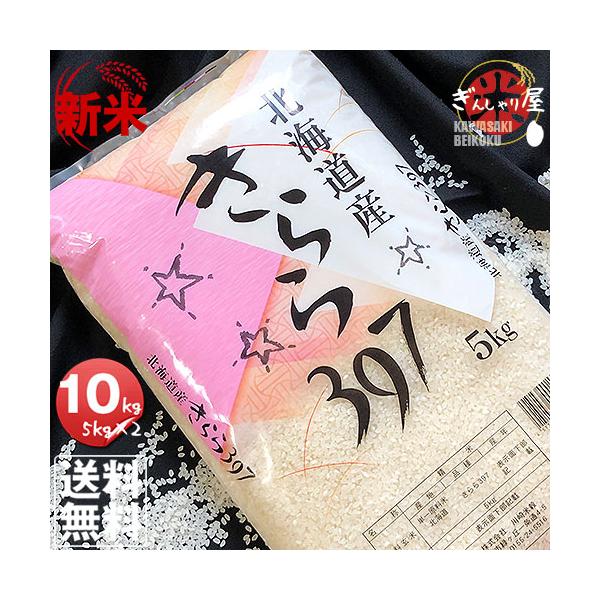 米 10kg 5kg×2袋セット お米 きらら397 北海道産 白米 令和5年産 送料無料