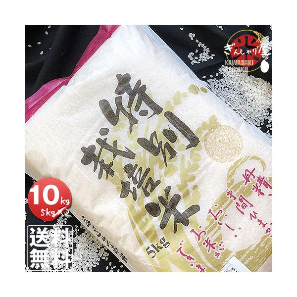 米 10kg 5kg×2袋セット お米 ゆめぴりか 北海道産 特別栽培米 白米 令和6年産 送料無料