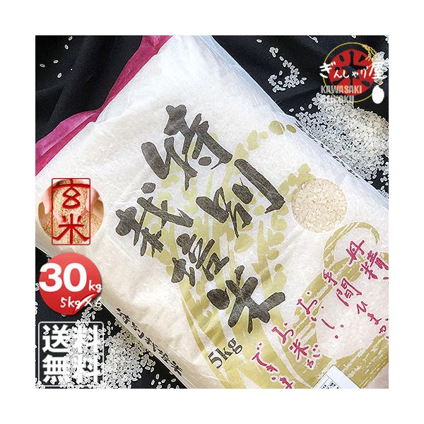米 30kg 5kg×6袋セット お米 玄米 ゆめぴりか 北海道産 特別栽培米 玄米 白米 分づき米 令和6年産 送料無料