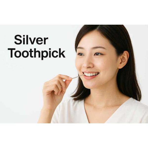 銀製の楊枝入れ 楽天市場】東京銀器 爪楊枝入れ 銀製品 オブジェ 化粧箱入り 1本