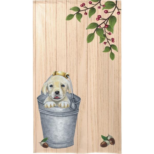 gŷz@Labrador in bucket@G݁EObYECG[uEuh[g[o[