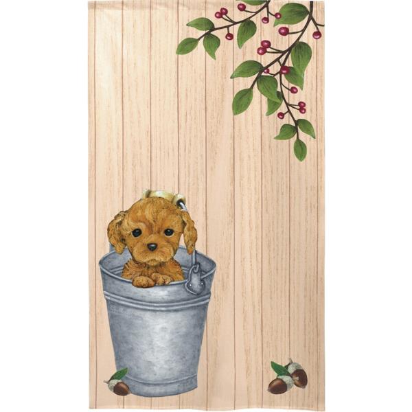 gŷz@Poodle in bucket@G݁EObYEv[h