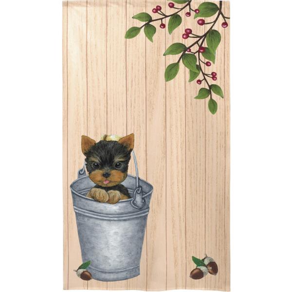 gŷz@Yorkie in bucket@G݁EObYE[NV[eAE[L[