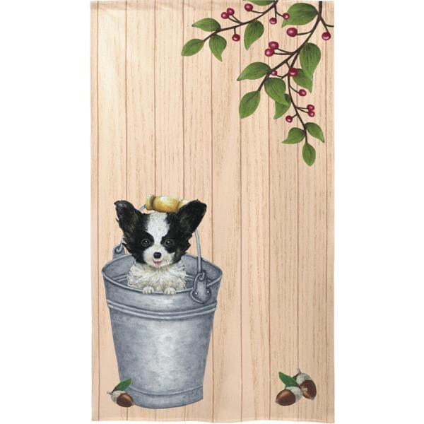 gŷz@Papillon in bucket@G݁EObYEps