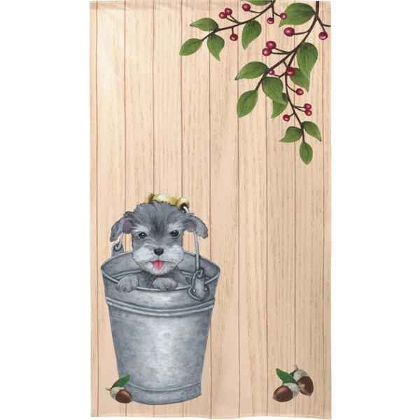 gŷz@Schnauzer in bucket@G݁EObYEViEU[