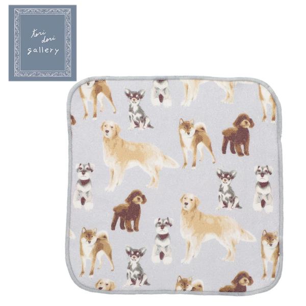 やさしいガーゼとふんわりパイルの二重仕立て。肌に触れるたび、ほっとする心地よさです。普段使いにも、ちょっとした贈り物にもおすすめ。Size：約22×22cm中国製注意事項※モニターにより、色の見え方が実際の商品と異なることがございます※メー...