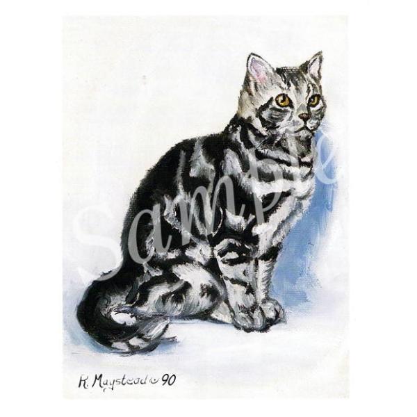 キャット　グリーティングカード。愛猫家の方へのプレゼントに添えていただくのに最適です。額などに入れていただくと、素敵なインテリアとしてお楽しみいただけます。サイズ 　　約14センチ×10.5センチ内容量 　　カード１枚・封筒１枚生産国 　　...