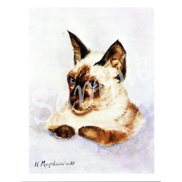 キャット　グリーティングカード。愛猫家の方へのプレゼントに添えていただくのに最適です。額などに入れていただくと、素敵なインテリアとしてお楽しみいただけます。サイズ 　　約14センチ×10.5センチ内容量 　　カード１枚・封筒１枚生産国 　　...