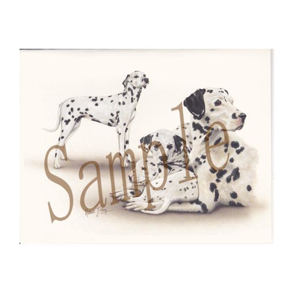ginya_conv-cards27-b