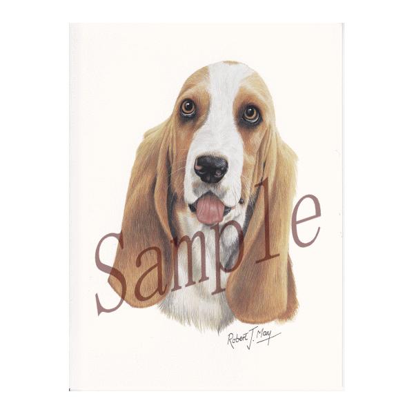 グリーティングカード バセット ハウンド 輸入雑貨 犬雑貨 犬グッズ Buyee Buyee 提供一站式最全面最专业现地yahoo Japan拍卖代bid代拍代购服务 Bot Online