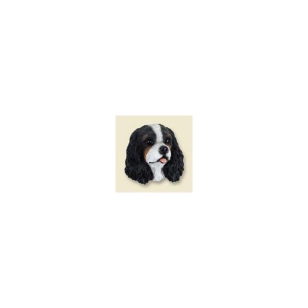 ݌Ɍ@R~JEhbOtBMA@wbh@LoA/ubNzCg@AG݁@G݁@ObY@{gl`ޗ
