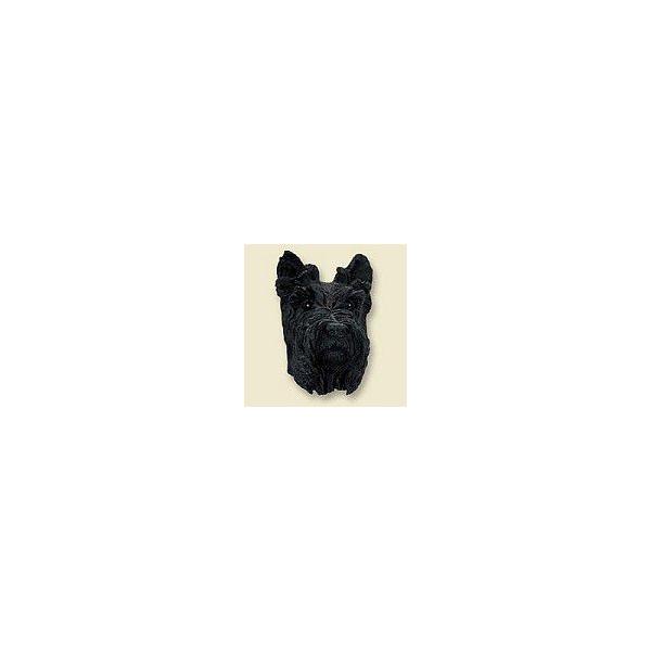 ݌Ɍ@R~JEhbOtBMA@wbh@XReBbVEeA/XRb`@AG݁@G݁@ObY@{gl`ޗ